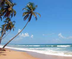 Tour Package In West India