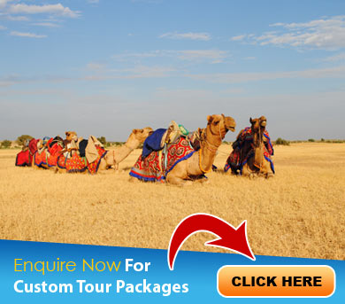West India Tour Packages
